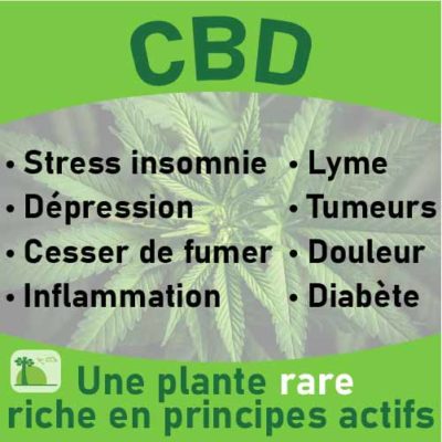 CBD, le laboratoire Biologiquement des plantes rares riches en principes actifs.