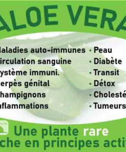 Aloe vera, le laboratoire Biologiquement des plantes rares riches en principes actifs.