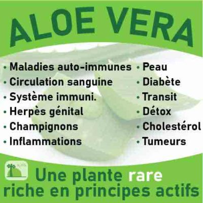 Aloe vera, le laboratoire Biologiquement des plantes rares riches en principes actifs.