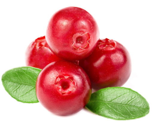 Baies de Cranberries – Image 4