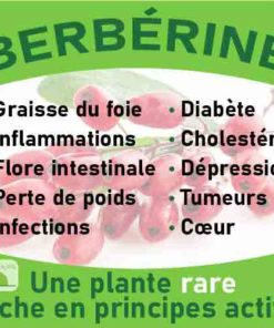 Berbérine, le laboratoire Biologiquement des plantes rares riches en principes actifs.