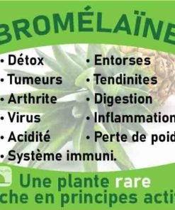 Bromélaïne, le laboratoire Biologiquement des plantes rares riches en principes actifs.