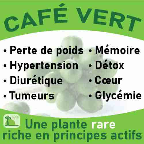 Café vert, le laboratoire Biologiquement des plantes rares riches en principes actifs.