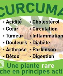 Curcuma, le laboratoire Biologiquement des plantes rares riches en principes actifs.