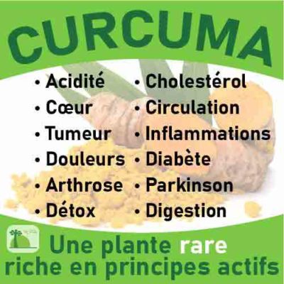 Curcuma, le laboratoire Biologiquement des plantes rares riches en principes actifs.