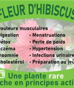 Fleur hibiscus, le laboratoire Biologiquement des plantes rares riches en principes actifs.