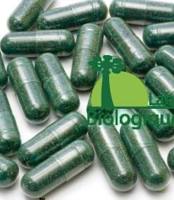 La spiruline est une algue spiralée qui existe depuis 3 milliards d’années. Faible en calorie, elle contient une grande quantité de protéines, d’antioxydants (caroténoïdes, phycocyanine) et d’acide gamma-linolénique (issu de la famille des oméga-6).