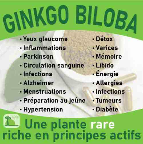 Ginkgo biloba, le laboratoire Biologiquement des plantes rares riches en principes actifs.