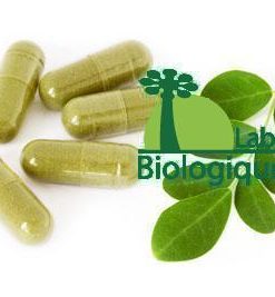 Gélules de poudre de Moringa bio Biologiquement