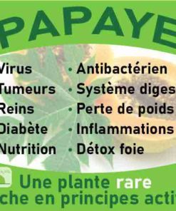 Papaye, le laboratoire Biologiquement des plantes rares riches en principes actifs.
