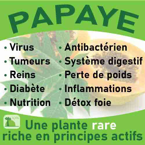 Papaye, le laboratoire Biologiquement des plantes rares riches en principes actifs.