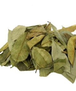 Feuilles de Corossol Graviola bio anticancer produites par Biologiquement