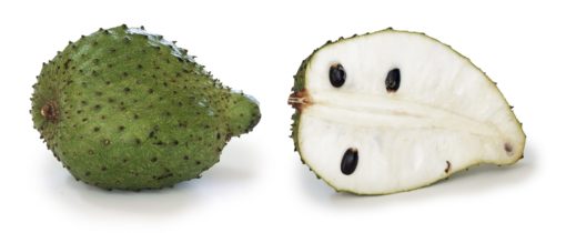 Le fruit du corossolier, le graviola corossol un anticancer naturel puissant