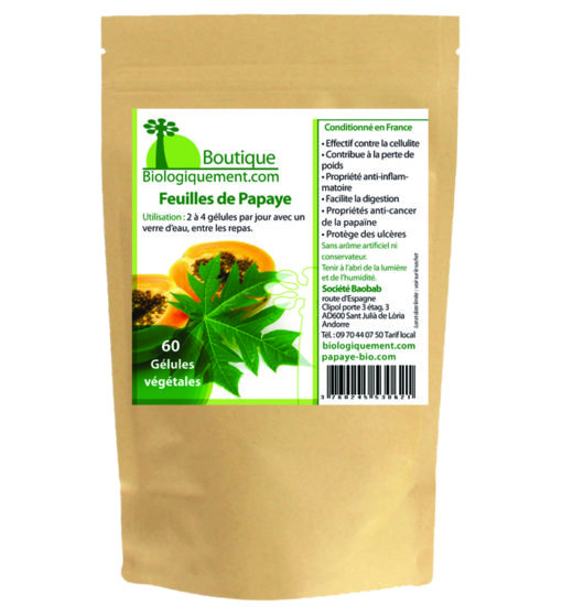 Feuilles de Papayer