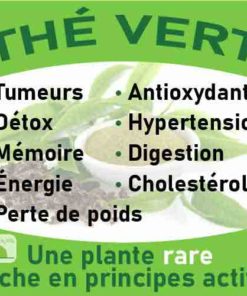 Thé vert, le laboratoire Biologiquement des plantes rares riches en principes actifs.