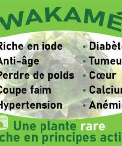 Wakamé, le laboratoire Biologiquement des plantes rares riches en principes actifs.