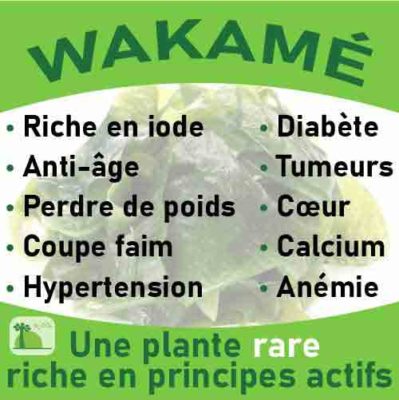 Wakamé, le laboratoire Biologiquement des plantes rares riches en principes actifs.
