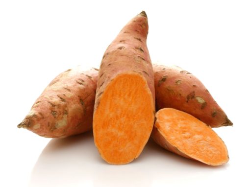 Yam igname sauvage bio traitement du cancer et soulage de la ménopause avec la DHEA