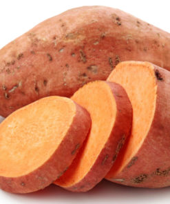 Yam igname sauvage bio traitement du cancer et soulage de la ménopause avec la DHEA