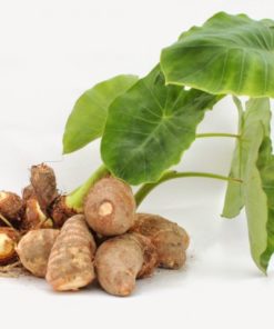 Yam igname sauvage bio traitement du cancer et soulage de la ménopause avec la DHEA