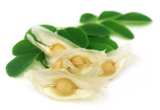 Les graines de Moringa bio produite par le laboratoire Biologiquement