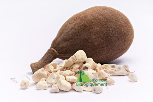 Huile de Baobab – Image 5