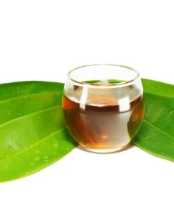 Tisane de Graviola corossol du laboratoire Biologiquement, un anti cancer naturel puissant