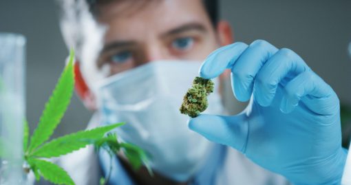 Comprimés aide au sommeil CBD 300mg – Image 4